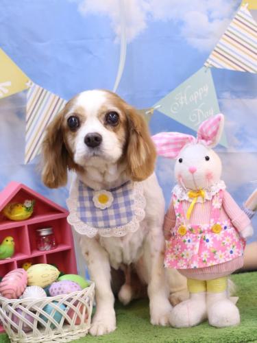 20240327マロくん